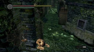 Lower undead burg skip - Dark Souls sequence break