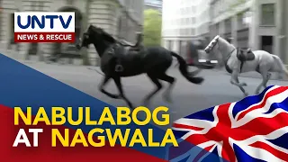 5 military horses, nabulabog at nakawala sa London, UK; 4 tao, sugatan