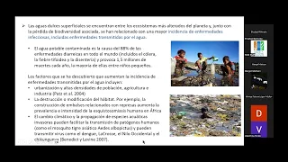 “One Health Una Salud” in Aquatic Socio-Ecosystems by Dr. Elisabet Wehncke [en Español]