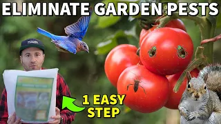 Doing This NOW Prevents 95% Of Pests In Your Garden (It's SO EASY)!