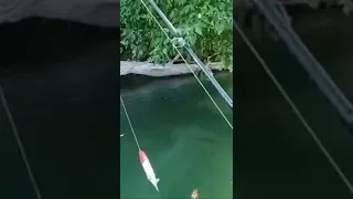 MASSIVE CATFISH EATS BIG TOPWATER BAIT!