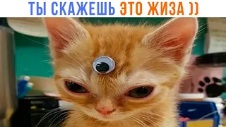 ЭТО ЖИЗА! ))) | Приколы | Мемозг 1365