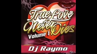 True Love Never Dies Vol 1. DJ Raymo Freestyle Mix Side A