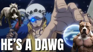 TRAFAlGAR D. LAW HAS THAT DAWG