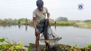 Unbelievable Fish Catch! Incredible Cast Net Fishing | Catching Big Fish By Cast Net