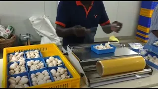 Manual hand wrapper / Plastic cling film tray wrapping machine / Mushroom packing ideas / Plastoseal