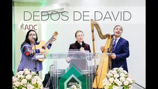 OLIVEIRA VERDADEIRA  DEDOS DE DAVI