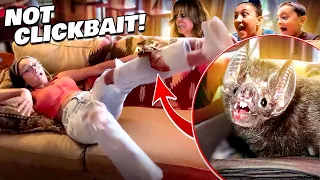 a WILD Laughing BAT Crawled on LEX!!  Scariest Surprise Moment of LIFE! (FV Family UNPLANNED Vlog)