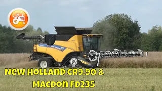 Harvest 2022 | New Holland CR9.90 combine & MacDon FD235 header