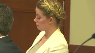 'I did not identify her as a victim of domestic violence' LA officer testifies in Depp vs Heard