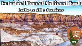 Petrified Forest National Park | Exploring the Forests, Painted Desert, Blue Mesa & More (2023)
