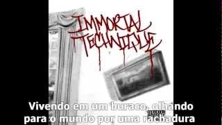 Immortal Technique - The Point of no Return (legendado/tradução)