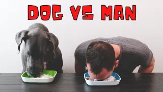 Man vs Great Dane: Food Eating Contest!