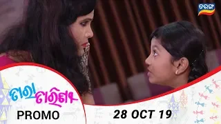 Tara Tarini | 28 Oct 19 | Promo | Odia Serial – TarangTV