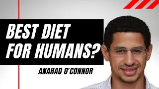 Best Diet For Humans?