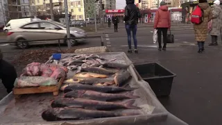 У Києві здійснено перевірку місць стихійної торгівлі рибою