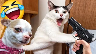 The Funniest Dogs and Cats Videos 2024 To Crack You Up All Long Day #20