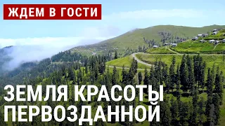 Ацана: земля красоты первозданной | ЖДЁМ В ГОСТИ с Зурабом Двали