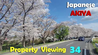 Japan Property View #34 - Sakura & Slimer
