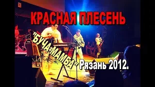 Красная Плесень - Буча-Мамба (Концерт в Рязани 27. 04. 2012)
