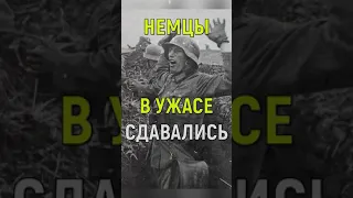 ☭ При помощи какой хитрости русские брали немцев в плен без боя