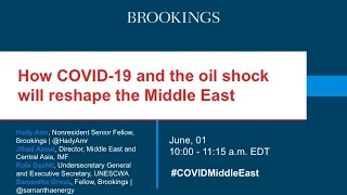 Webinar: How COVID-19 and the oil shock will reshape the Middle East