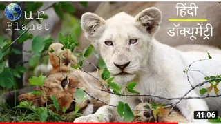 The White Lion Documentary In Hindi (Hindi Documentary) - Documentary Hindi Language 2021