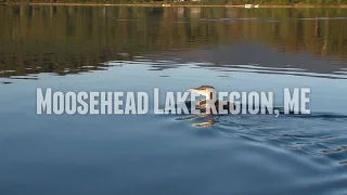 New England Boating: Moosehead Lake Region, ME