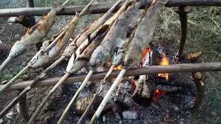 CAMP  Fire - CATCH n COOK FISH - Camping Cooking - Bushcraft