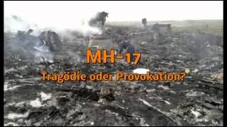 MH-17 Expertise gegen Vertuschung und Propaganda