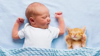 Süße & lustige Baby und Katzen compilation