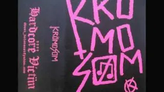 KROMOSOM - demo 2010