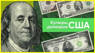 Купюры долларов США: какие номиналы существуют?