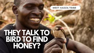 Meet the African tribes who use birds to find Honey! #facts #hadza #hadzabe