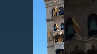 "IL CANTO DEL GALLO" DEL DUOMO DI MESSINA ogni giorno alle 12