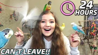 Living in My BIRD ROOM for 24 HOURS!! *Birds gone completely wild*