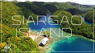 Siargao Island in 4K 🏝️ Beautiful nature in The Philippines