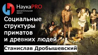 Социальные структуры приматов и древних людей – антрополог Станислав Дробышевский | Научпоп