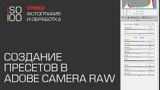 Adobe Camera RAW. Создание пресетов.