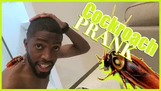 HILARIOUS COCKROACH PRANK (HE'S SCARED OF ROACHES)