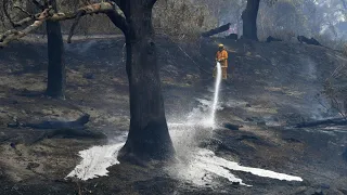 Thousands flee as heatwave-fuelled bushfires reach Melbourne