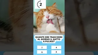 Conosci il tuo gatto? Scoprilo in questo divertente quiz sui gatti 🐱🐱