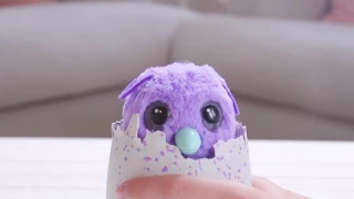 Hatchimals | Introducing Hatchimals Burtle | Only at Walmart!