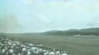 Ramstein Air Disaster 1988