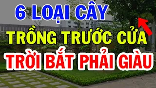 ÂM THẦM Trồng Ngay 6 Cây Này Trước Nhà, Đảm Bảo Gia Chủ Giàu Nhanh Chóng Mặt, Tiền Chất Như Núi| VĐH