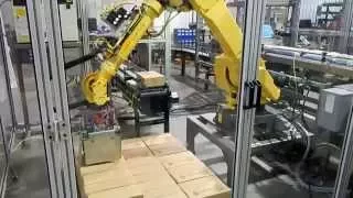 Robotic Case Packing and Palletizing System