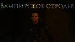 The Witcher 3 Wild Hunt DLC Кровь и вино. Встреча с вампиром. #2