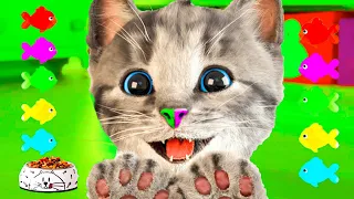 MY LITTLE KITTEN ADVENTURE LONG SPECIAL - GREEN CAT VIDEO - ANIMATED ADVENTURE JOURNEY SPECIAL