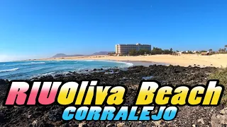 Hotel RIU OLIVA BEACH || Corralejo - Fuerteventura - Canary Islands [4k]