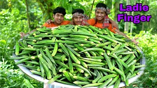 LADY FINGER FRY | Spicy Okra Recipe Cooking with Eggs | Village Style Okra Recipe | Village Cooking